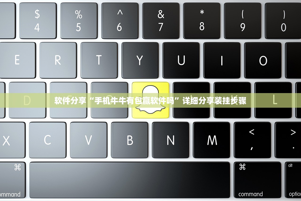 软件分享“手机牛牛有包赢软件吗”详细分享装挂步骤