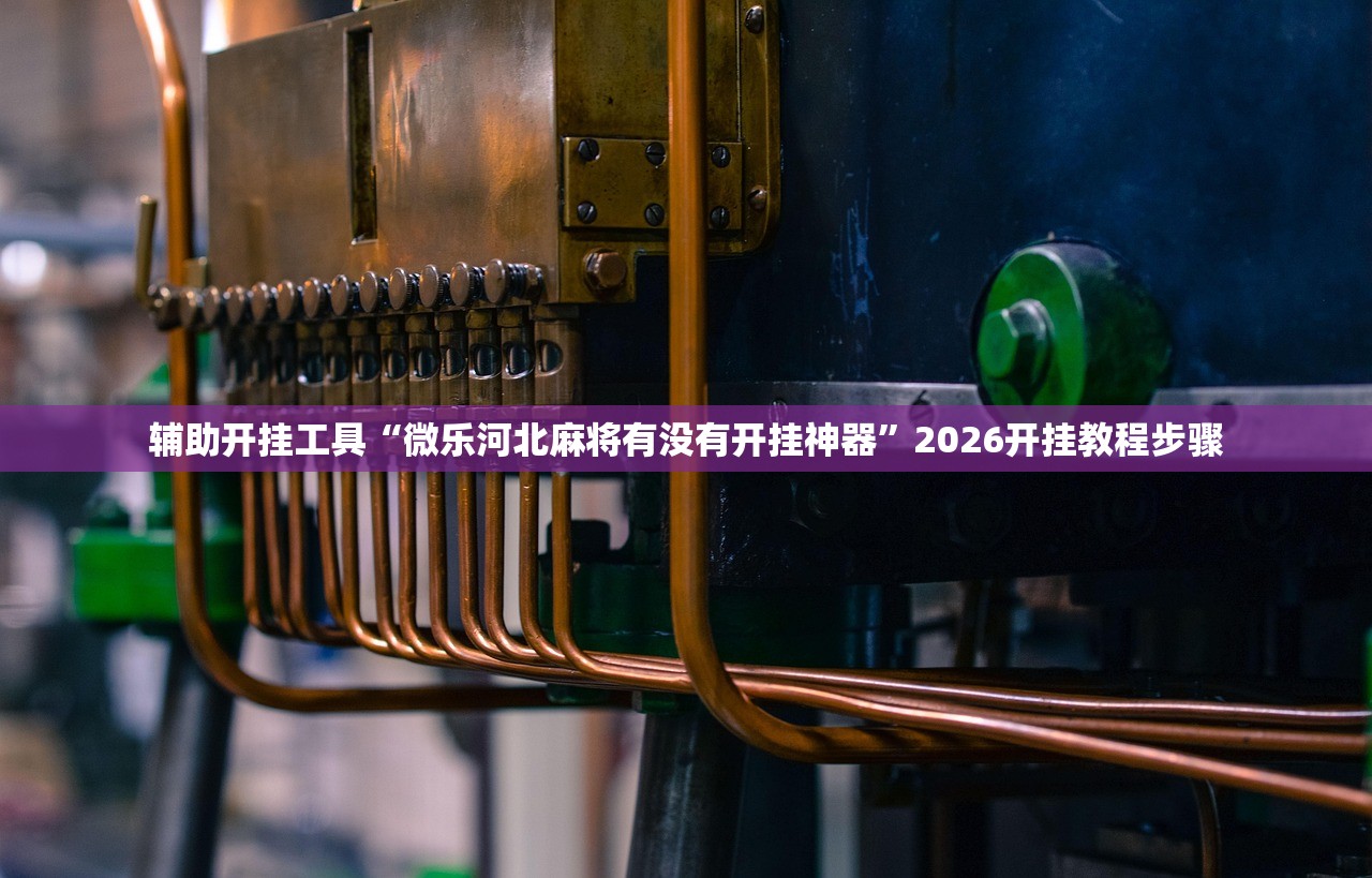 辅助开挂工具“微乐河北麻将有没有开挂神器”2026开挂教程步骤