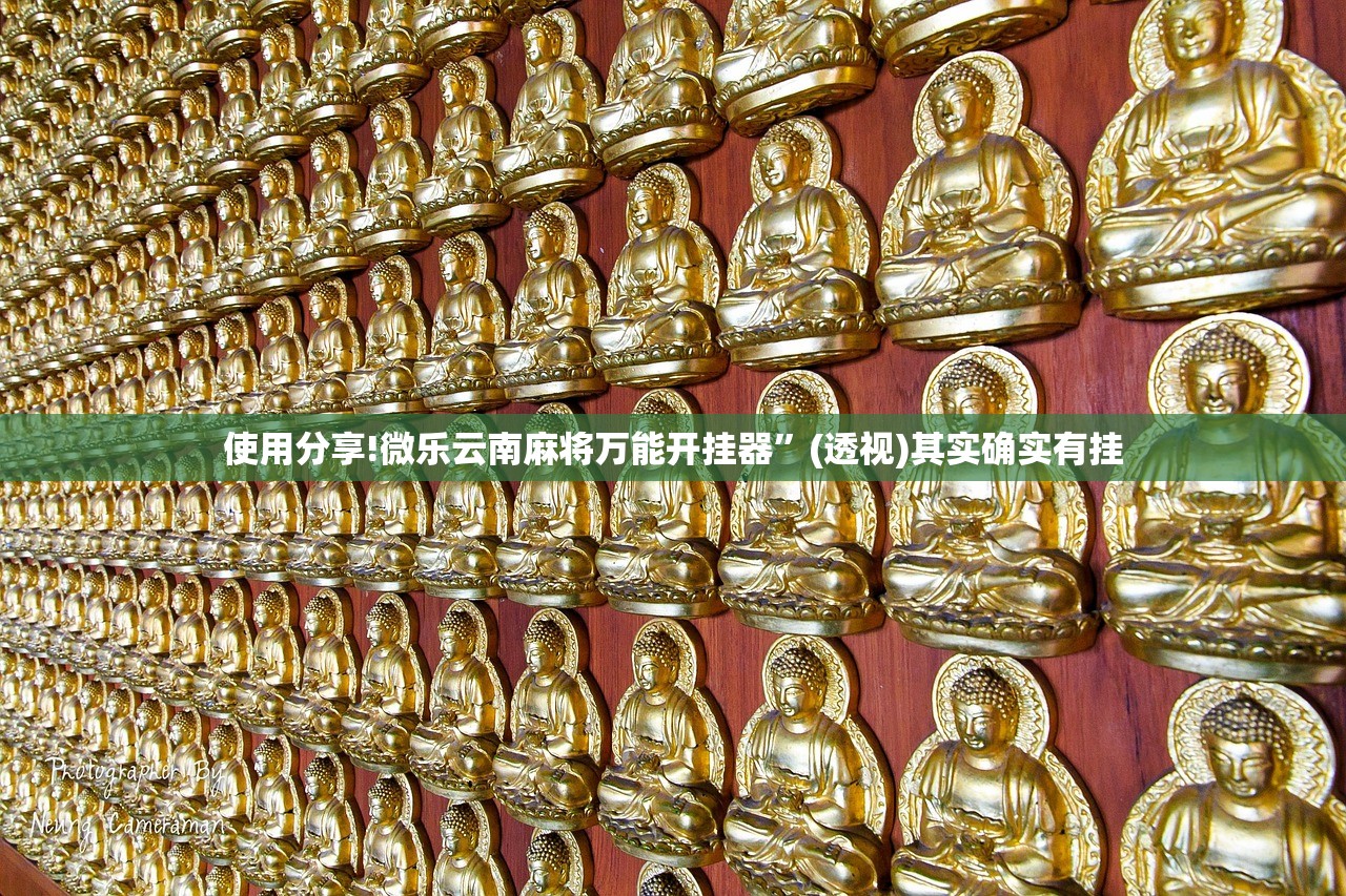 使用分享!微乐云南麻将万能开挂器”(透视)其实确实有挂