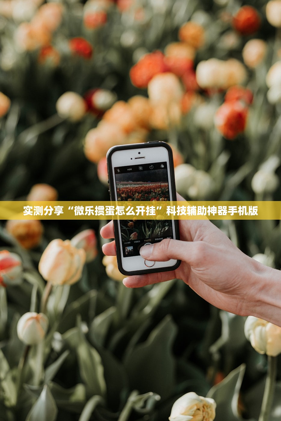 实测分享“微乐掼蛋怎么开挂”科技辅助神器手机版