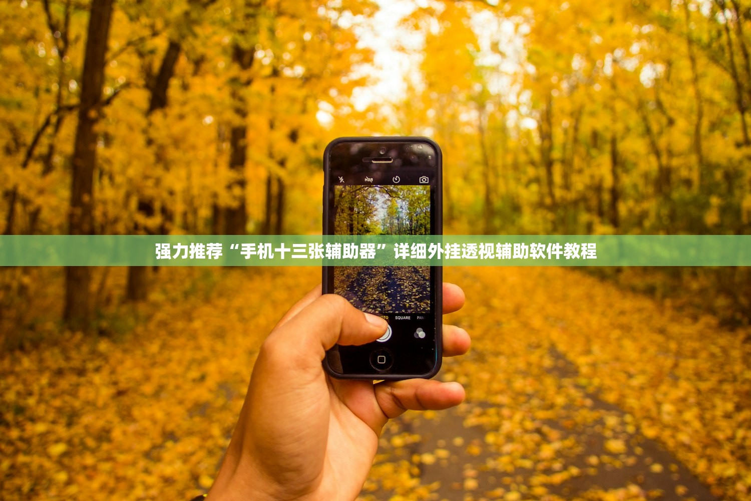 强力推荐“手机十三张辅助器”详细外挂透视辅助软件教程