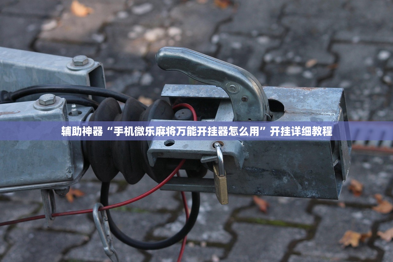 辅助神器“手机微乐麻将万能开挂器怎么用”开挂详细教程