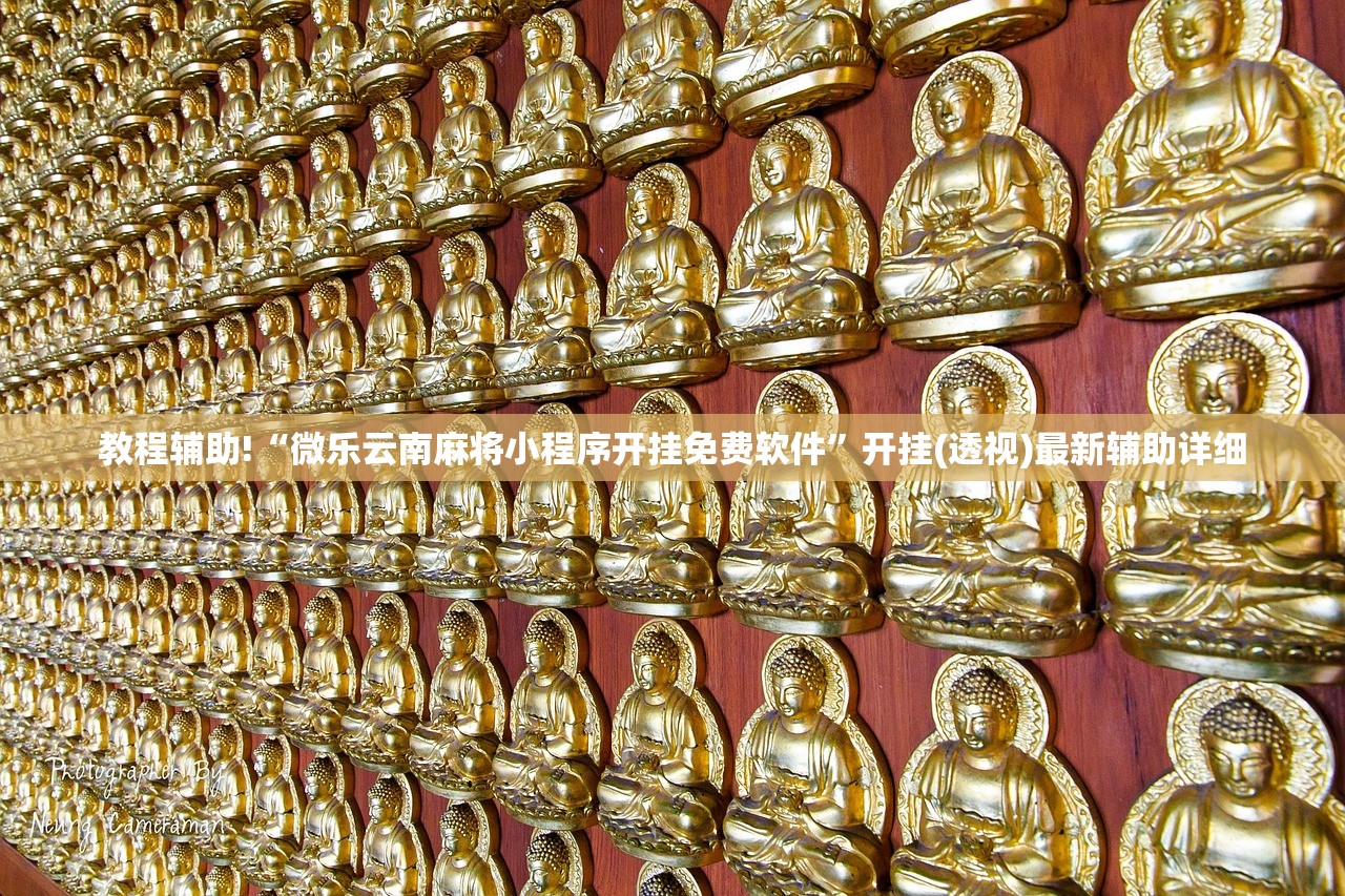 教程辅助!“微乐云南麻将小程序开挂免费软件”开挂(透视)最新辅助详细