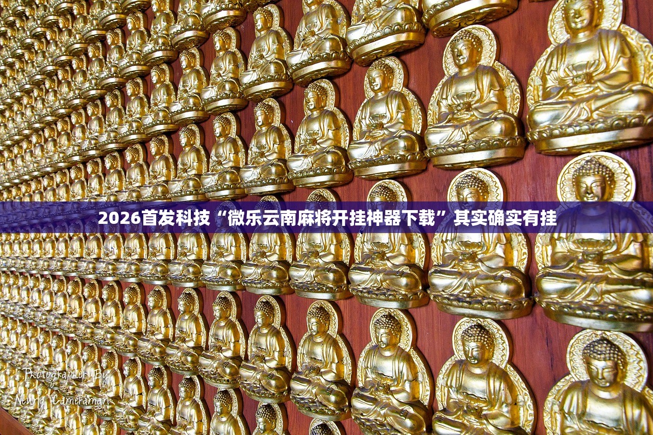 2026首发科技“微乐云南麻将开挂神器下载”其实确实有挂
