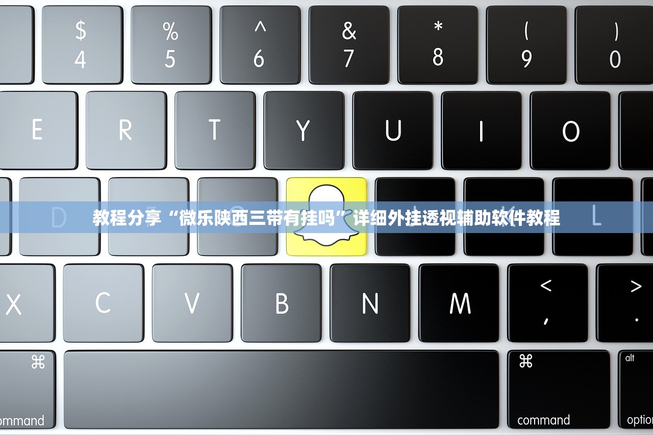 教程分享“微乐陕西三带有挂吗”详细外挂透视辅助软件教程