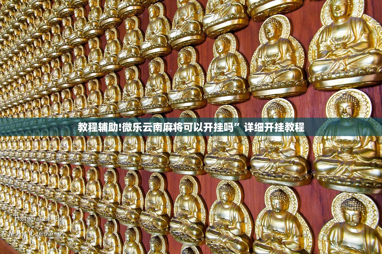 教程辅助!微乐云南麻将可以开挂吗”详细开挂教程
