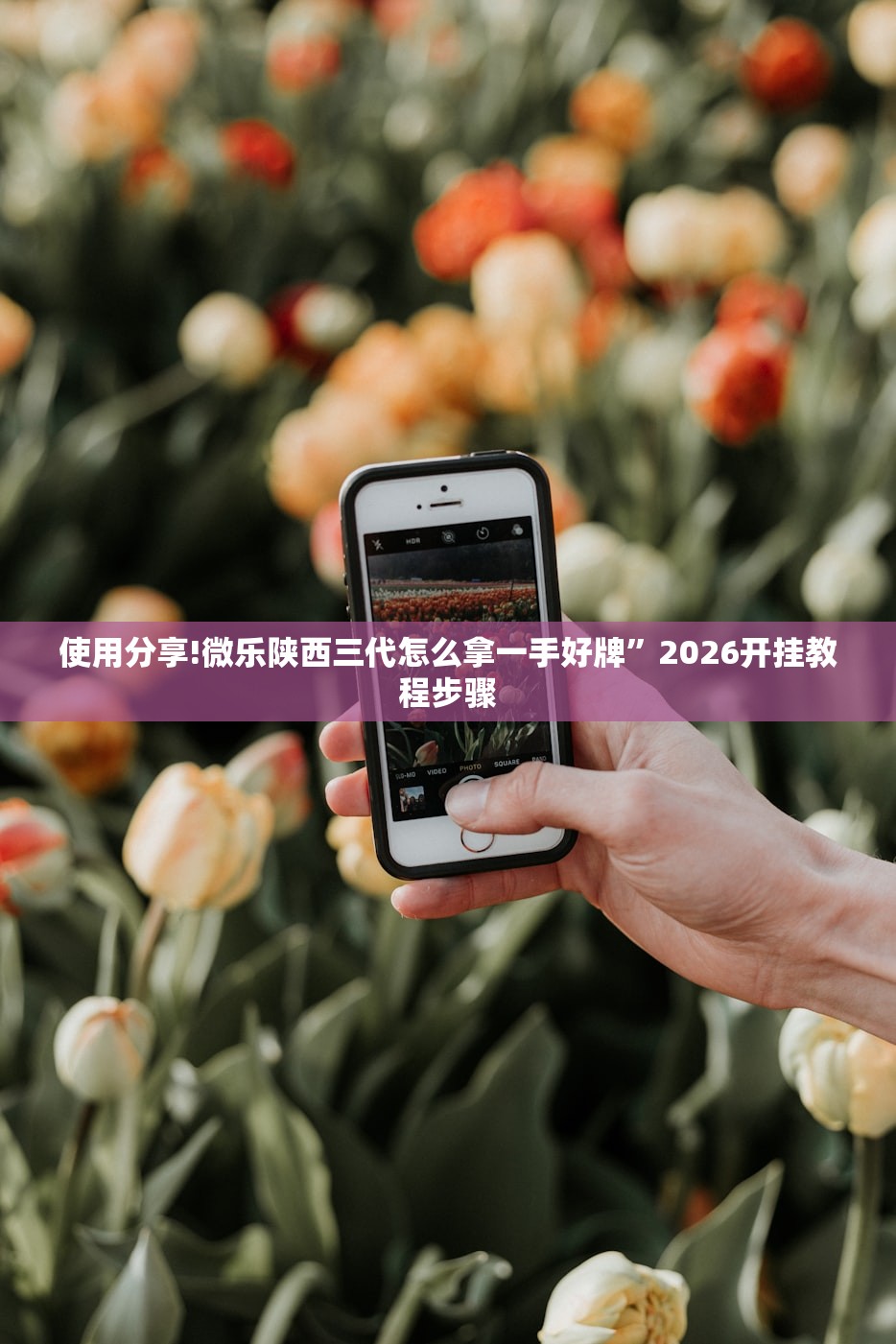 使用分享!微乐陕西三代怎么拿一手好牌”2026开挂教程步骤