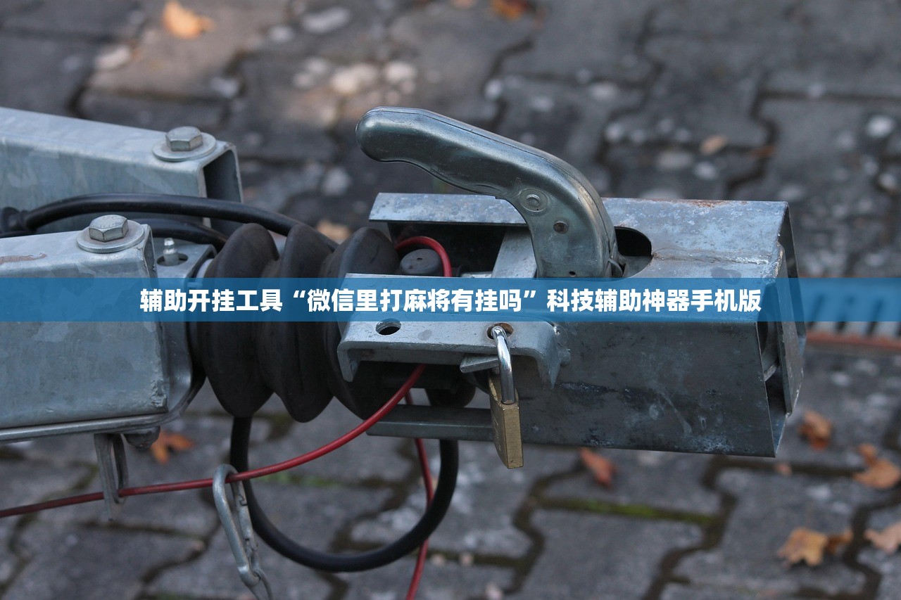 辅助开挂工具“微信里打麻将有挂吗	”科技辅助神器手机版
