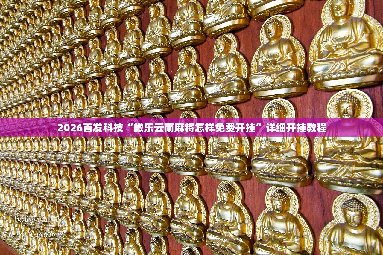 2026首发科技“微乐云南麻将怎样免费开挂”详细开挂教程