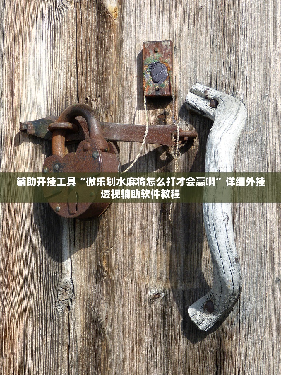 辅助开挂工具“微乐划水麻将怎么打才会赢啊	”详细外挂透视辅助软件教程