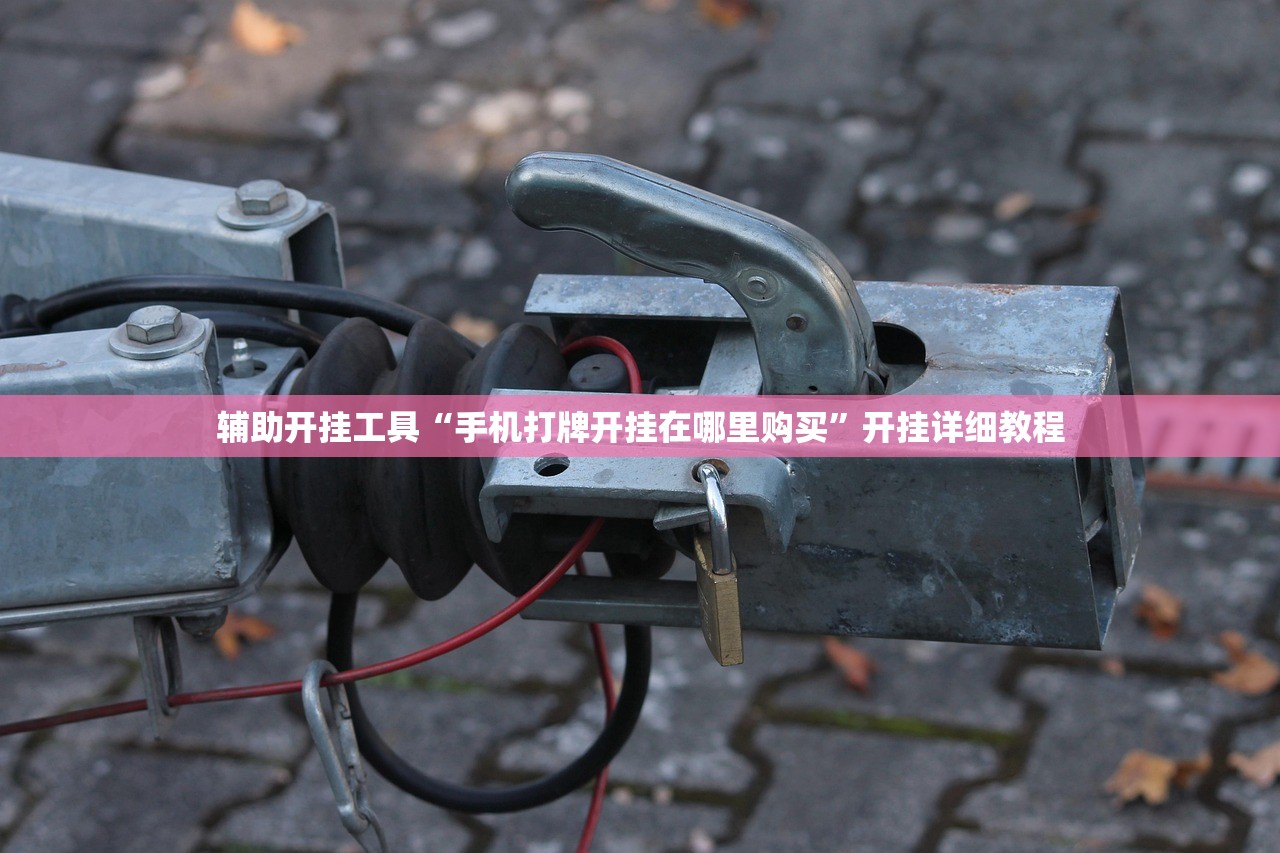 辅助开挂工具“手机打牌开挂在哪里购买”开挂详细教程