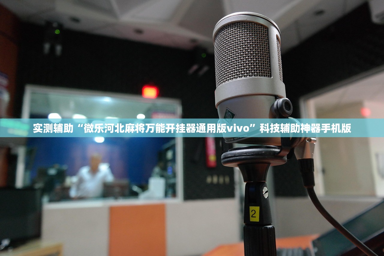 实测辅助“微乐河北麻将万能开挂器通用版vivo”科技辅助神器手机版