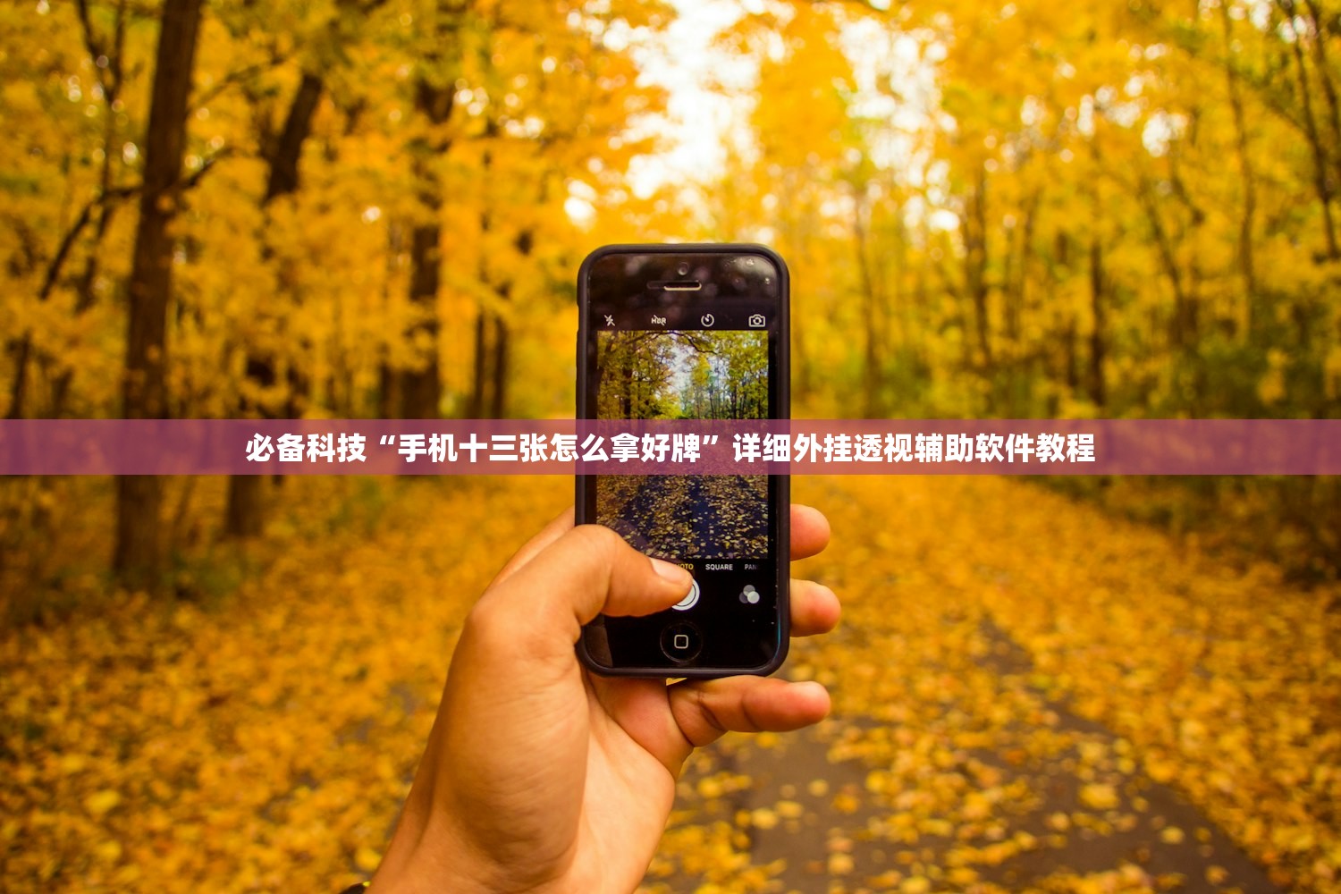 必备科技“手机十三张怎么拿好牌”详细外挂透视辅助软件教程