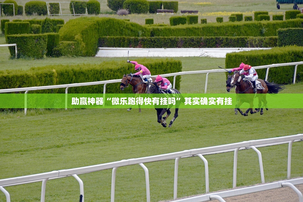 助赢神器“微乐跑得快有挂吗”其实确实有挂