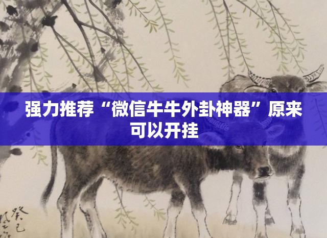 强力推荐“微信牛牛外卦神器”原来可以开挂