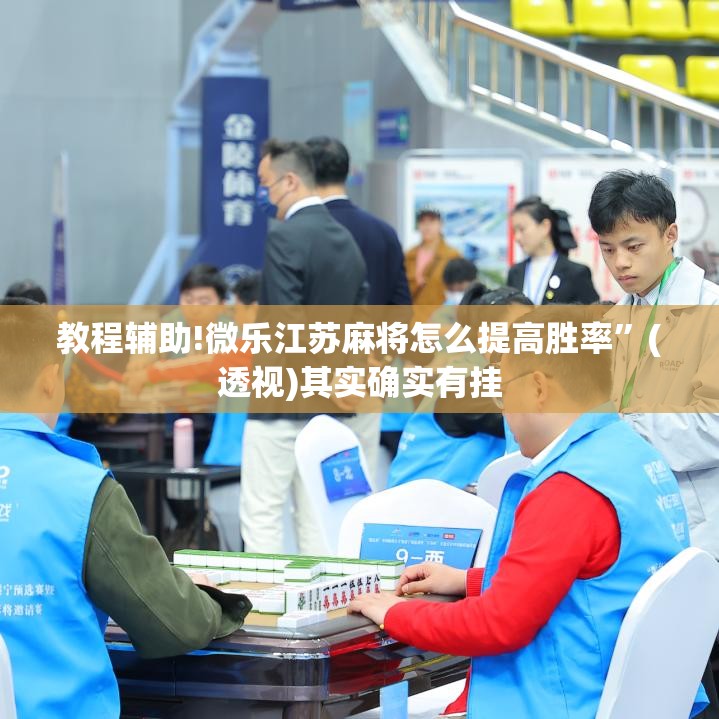 教程辅助!微乐江苏麻将怎么提高胜率”(透视)其实确实有挂