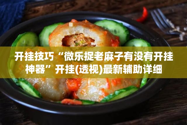 开挂技巧“微乐捉老麻子有没有开挂神器”开挂(透视)最新辅助详细