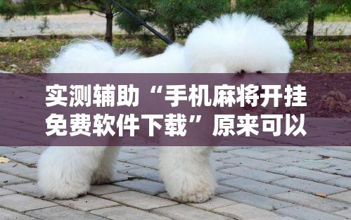 实测辅助“手机麻将开挂免费软件下载	”原来可以开挂