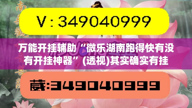 万能开挂辅助“微乐湖南跑得快有没有开挂神器”(透视)其实确实有挂