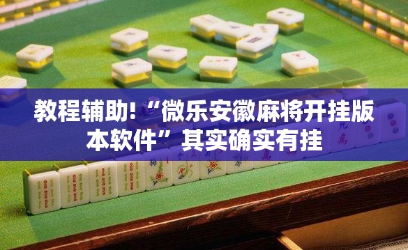 教程辅助!“微乐安徽麻将开挂版本软件	”其实确实有挂