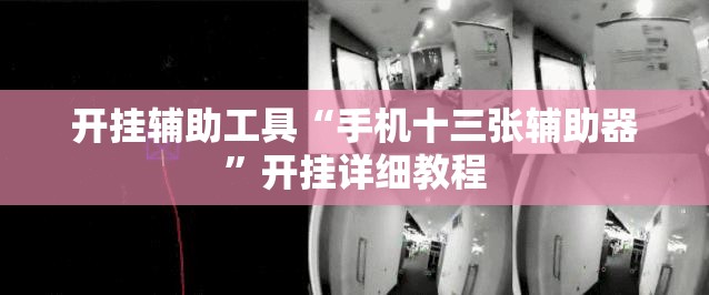 开挂辅助工具“手机十三张辅助器	”开挂详细教程