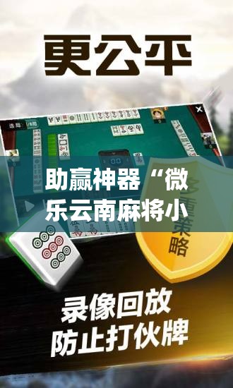 助赢神器“微乐云南麻将小程序必赢神器免费安装”开挂(透视)辅助神器