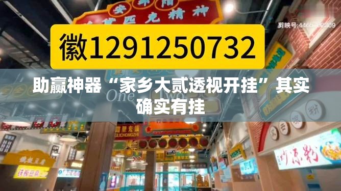 助赢神器“家乡大贰透视开挂”其实确实有挂