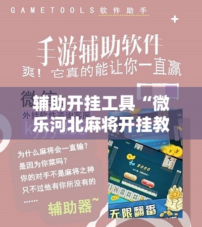 辅助开挂工具“微乐河北麻将开挂教程”2026开挂教程步骤