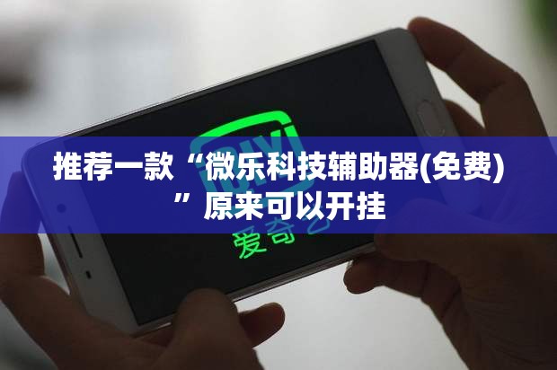 推荐一款“微乐科技辅助器(免费)	”原来可以开挂
