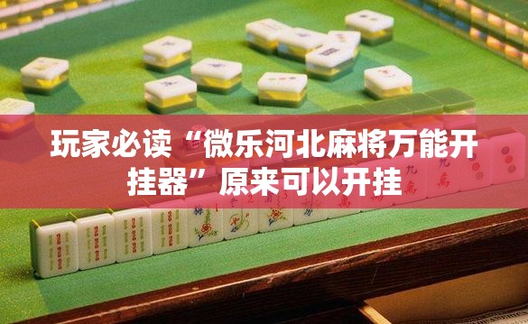 玩家必读“微乐河北麻将万能开挂器	”原来可以开挂