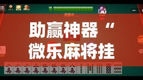 助赢神器“微乐麻将挂试用一天”详细分享装挂步骤