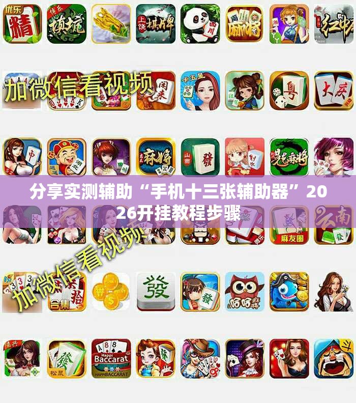 分享实测辅助“手机十三张辅助器”2026开挂教程步骤