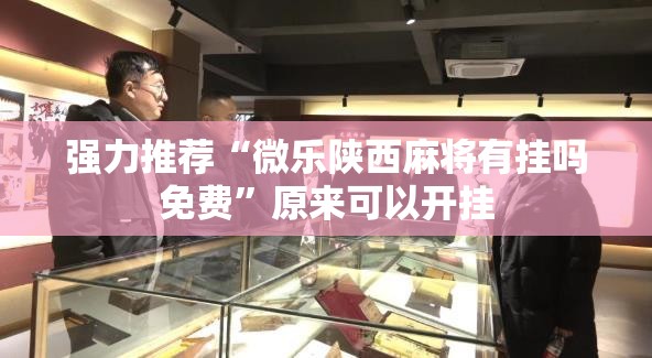 强力推荐“微乐陕西麻将有挂吗免费”原来可以开挂
