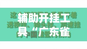 辅助开挂工具“广东雀神试用一天	”开挂(透视)辅助教程