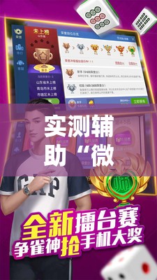 实测辅助“微乐麻将怎么样才能一直赢”原来可以开挂
