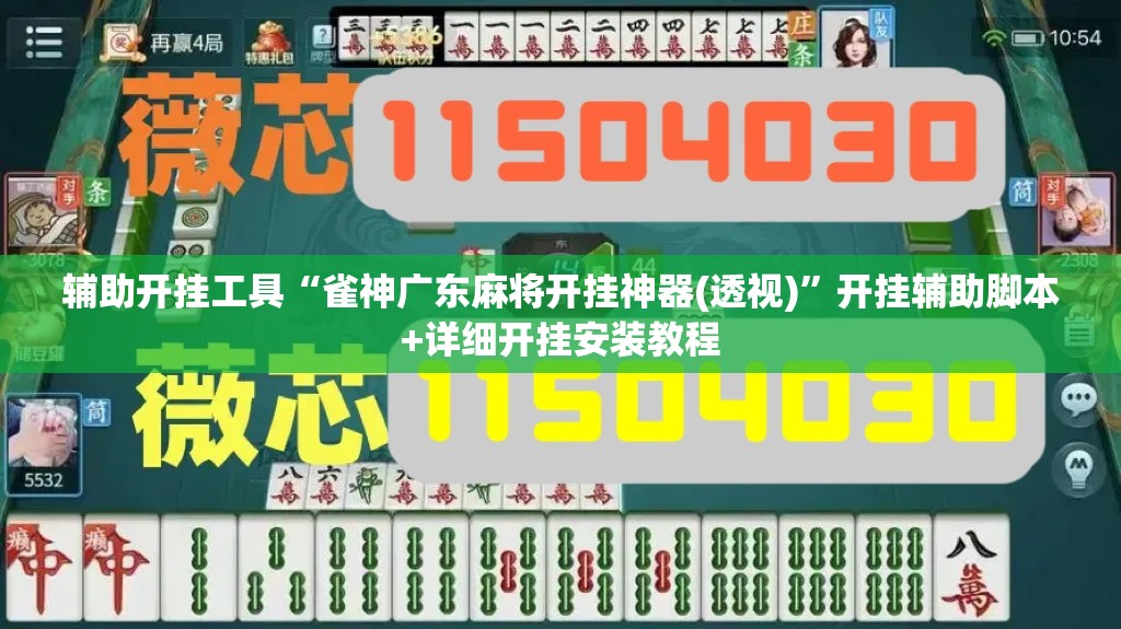 辅助开挂工具“雀神广东麻将开挂神器(透视)	”开挂辅助脚本+详细开挂安装教程