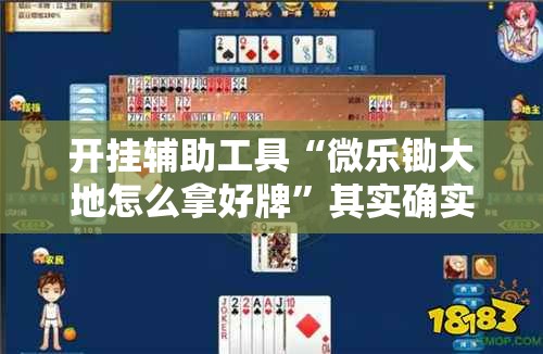 开挂辅助工具“微乐锄大地怎么拿好牌”其实确实有挂