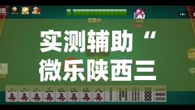 实测辅助“微乐陕西三带有开挂方法吗”其实确实有挂