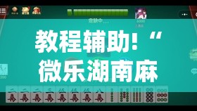 教程辅助!“微乐湖南麻将小程序必赢方法”细辅助教程分享