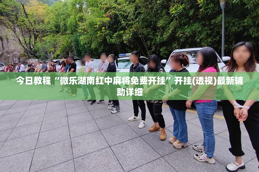今日教程“微乐湖南红中麻将免费开挂	”开挂(透视)最新辅助详细