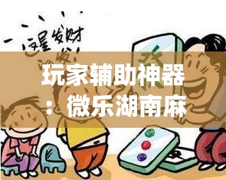 玩家辅助神器：微乐湖南麻将有挂吗多少钱(透视)”开挂辅助脚本+详细开挂安装教程