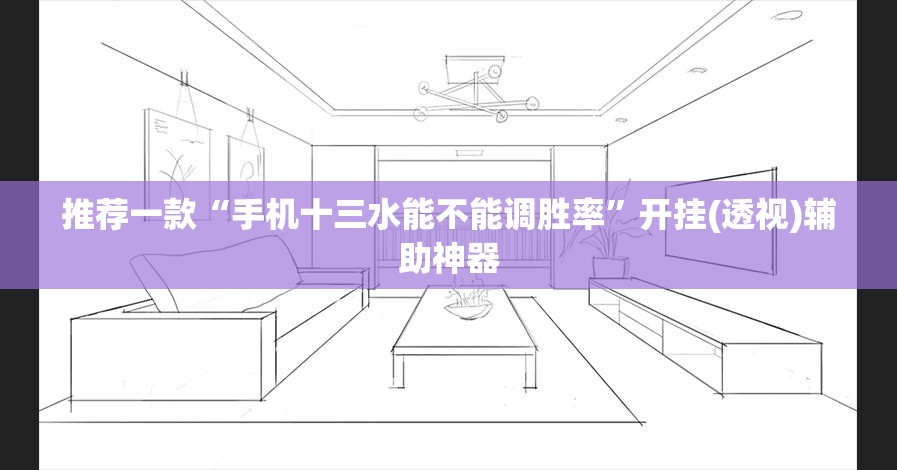 推荐一款“手机十三水能不能调胜率	”开挂(透视)辅助神器