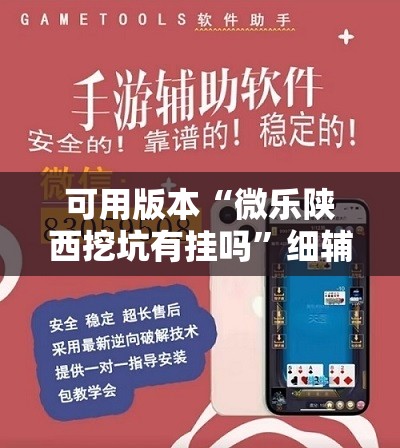 可用版本“微乐陕西挖坑有挂吗”细辅助教程分享