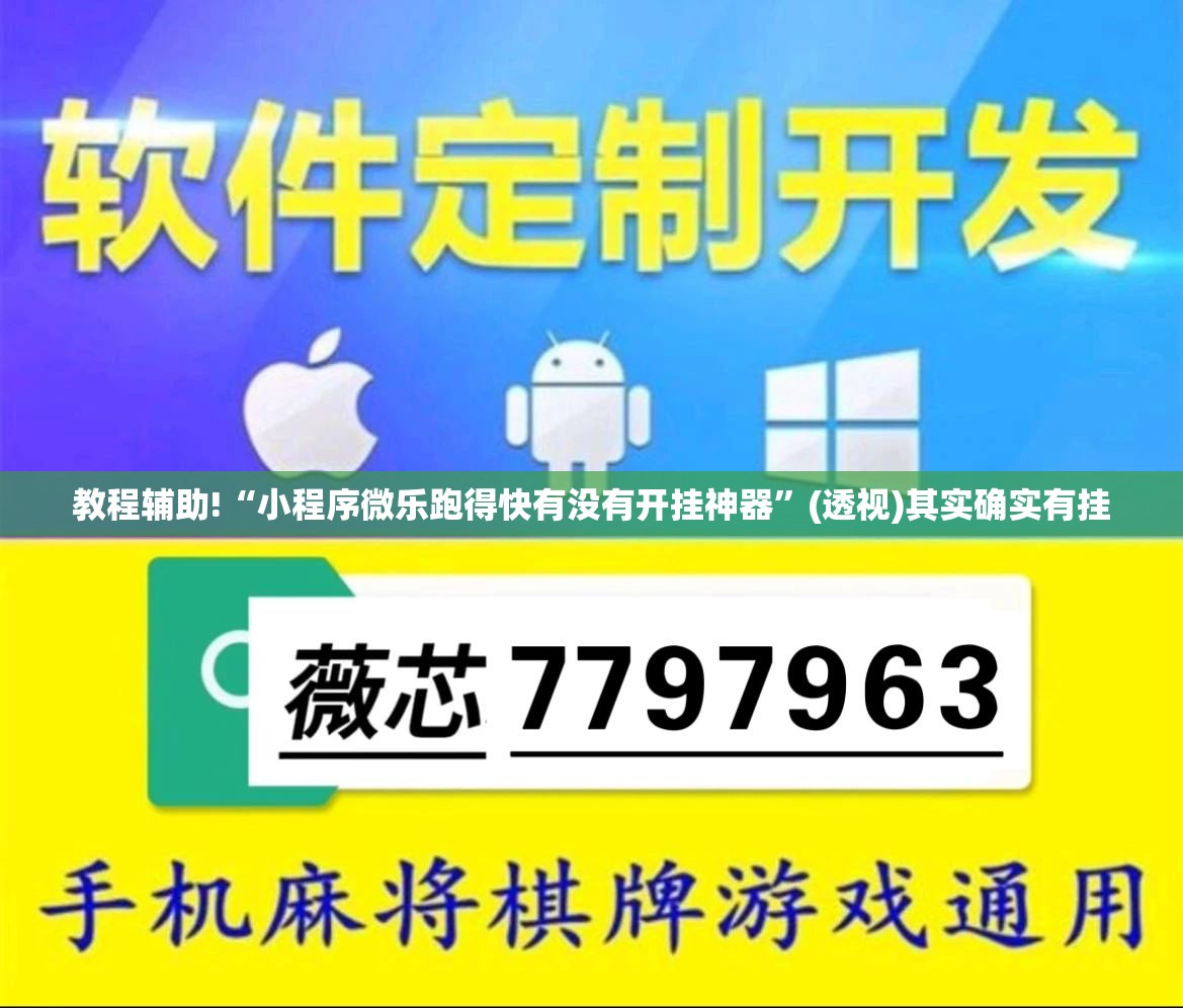 教程辅助!“小程序微乐跑得快有没有开挂神器”(透视)其实确实有挂
