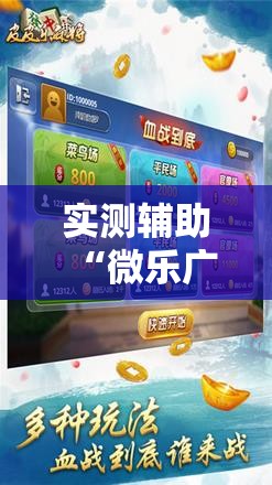 实测辅助“微乐广西麻将破解器”科技辅助神器手机版