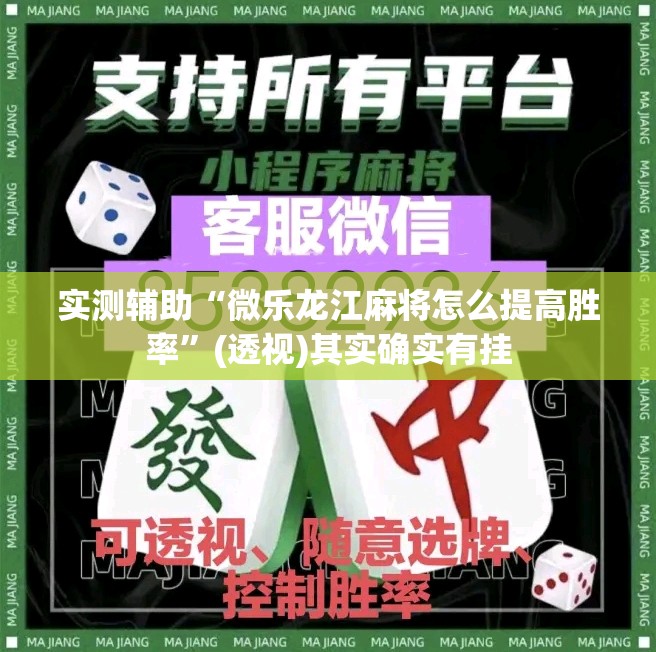 实测辅助“微乐龙江麻将怎么提高胜率”(透视)其实确实有挂