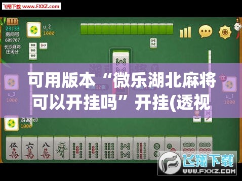 可用版本“微乐湖北麻将可以开挂吗	”开挂(透视)最新辅助详细
