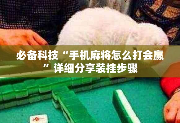 必备科技“手机麻将怎么打会赢	”详细分享装挂步骤