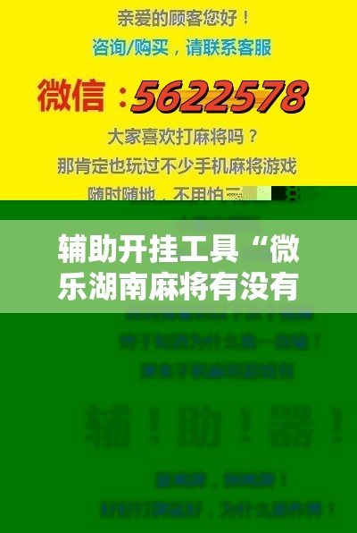 辅助开挂工具“微乐湖南麻将有没有开挂神器多少钱”科技辅助神器手机版