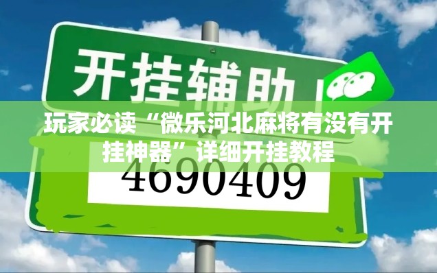 玩家必读“微乐河北麻将有没有开挂神器”详细开挂教程
